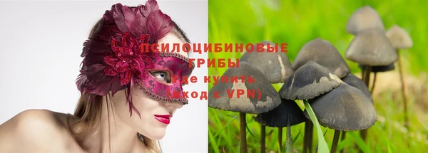 Альфа ПВП Богородицк