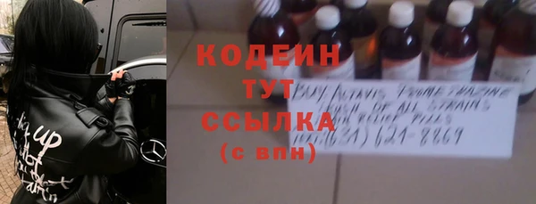индика Бугульма