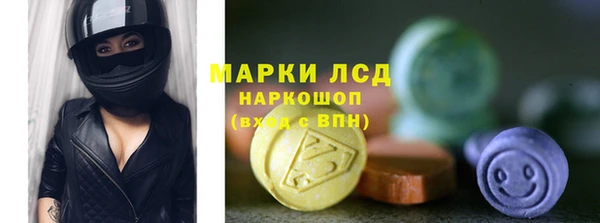 индика Бугульма