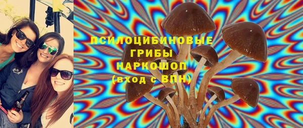 Альфа ПВП Богородицк